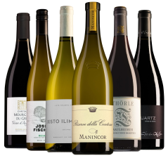 Wijnpakket Master of Wine (6 flessen)