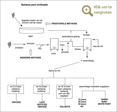 Schema Port